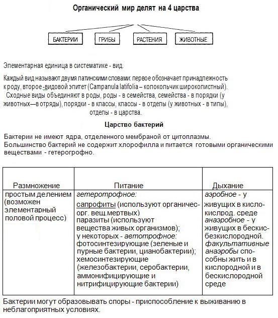 Система органического мира